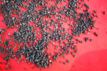 ���d�F�V��